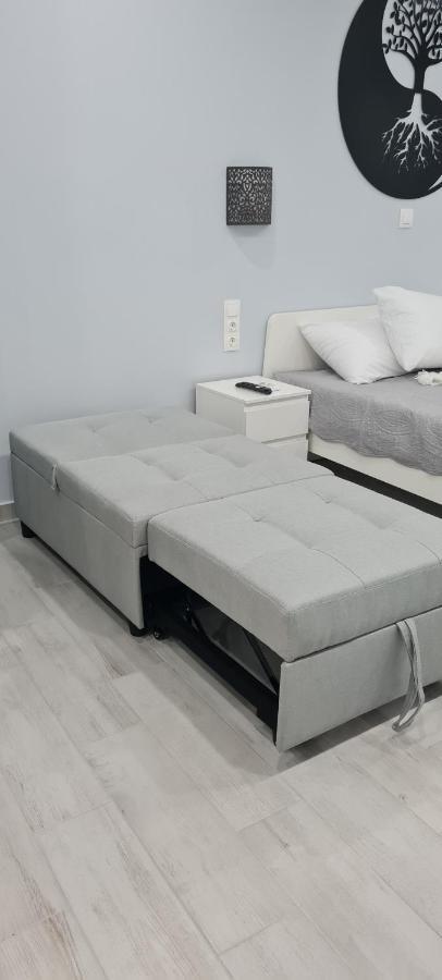 Cozy Apartment With Garden Near Town Center, Fully Renovated. Αθήνα Εξωτερικό φωτογραφία